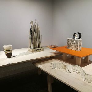 Fire & Earth Top of the South